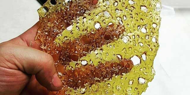 Holding Shatter in hand