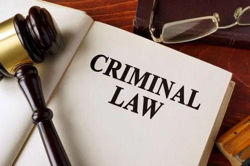 book of criminal law